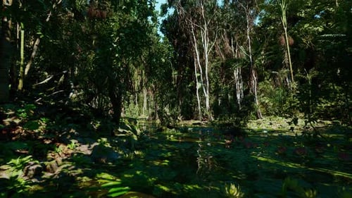 Early Morning Swamp with Gentle Fog and Wildlife Signs Visible