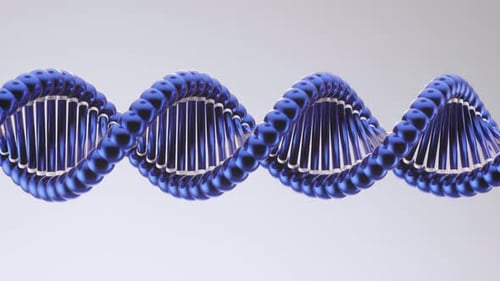 Dna Side View