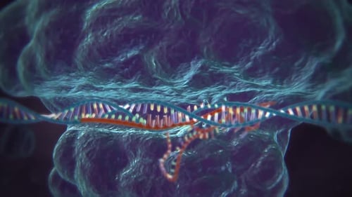 3D Science Animation of DNA Moving Through a Protein Complex