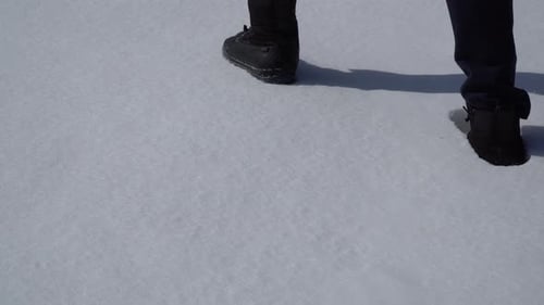 Footprints in the Fresh Winter Snow