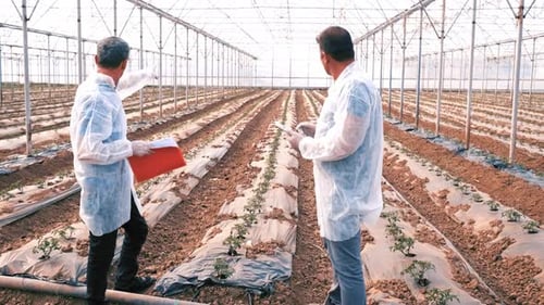 Agronomists