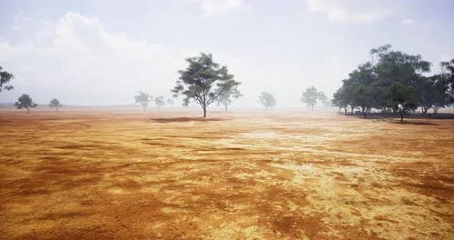 Arid Desert Landscape with Sparse Trees and Hazy Horizon