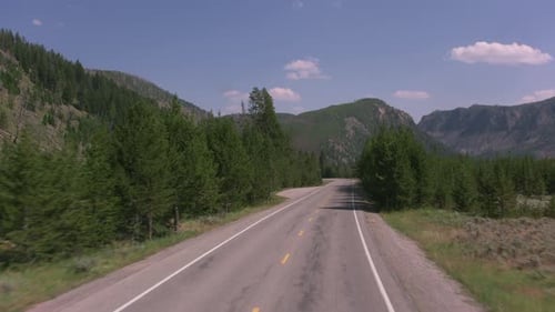 Driving through Yellowstone national park on a beautiful summer road trip