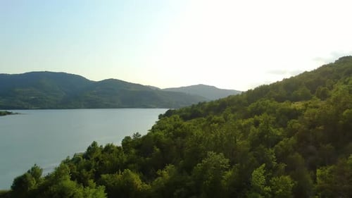 Forest edge of lake Butoniga water reservoir dam in Croatia with tall trees and shrubs, Aerial drone