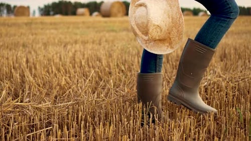 Woman Farmer Goes Wearing Rubber Boots Along Harvested Wheat Field with Straw at Sunset