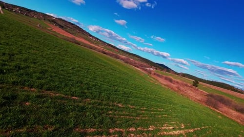 Vertical Video FPV Drone View Banking Over Vibrant Green Fields and Rolling Countryside Under Bright