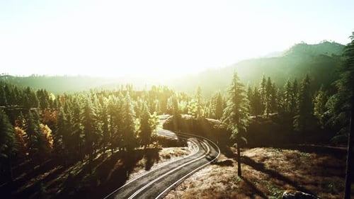 An Empty Road Winding Through a Picturesque Forest at Sunset