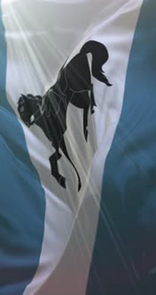 Coventry Flag