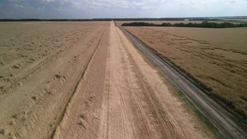 Wheat field aerial view in Ukraine