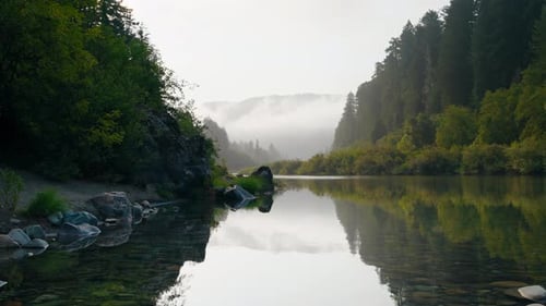 Calming Waters Flow Through Forest River On Foggy Morning