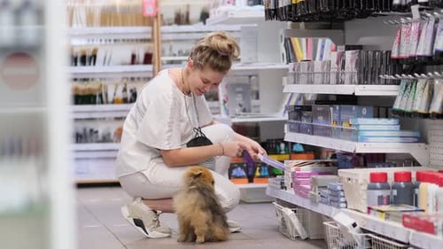 Woman Artist in an Art Store Selects Goods