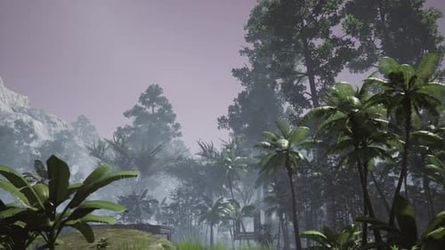 Wald 2K