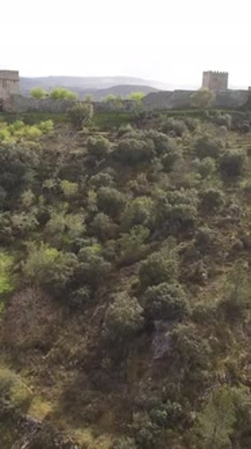 Vertical Video of Old Castle on the Mountains