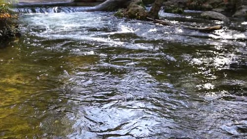 Nahaufnahme eines rauschenden Baches, schnell fließenden Quellwassers mit einigen farbenfrohen Herbstblättern in der
