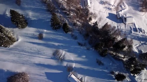 Aerial shot, detail of a small village among trees, winter wooded mountain landscape.Long shadows