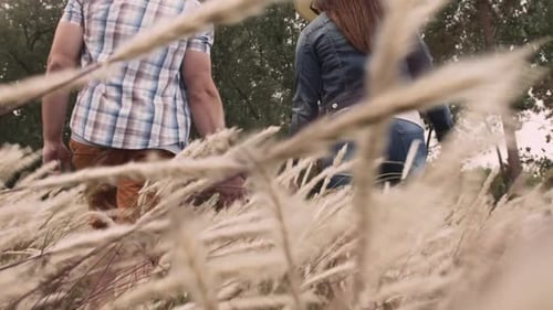 Paar, das auf einem Sommerspaziergang in ländlicher Landschaft sanft goldenes Gras berührt