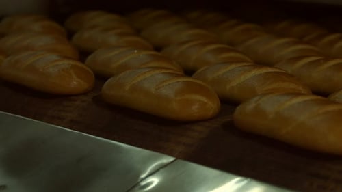 Automated Production of Bread