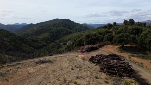 Des montagnes magiques et des troncs coupés pour l'industrie, vue aérienne