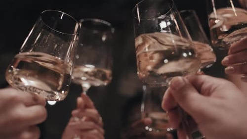 Friends Cheers With Wine at Birthday Party