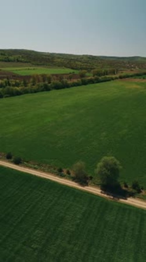 An Aerial View Capturing the Vibrant and Lush Green Agricultural Fields and Surrounding Roads