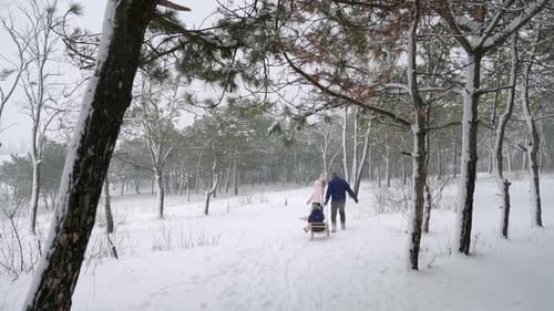 Family Sledding Through Snowy Winter Forest