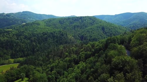 Aerial view of a bright green mountain forest landscape