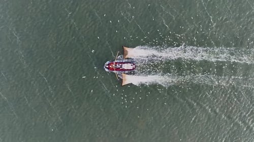 Drone topdown shot of a Fishers boat dragging the nets thru the water. Birds circling the boat looki