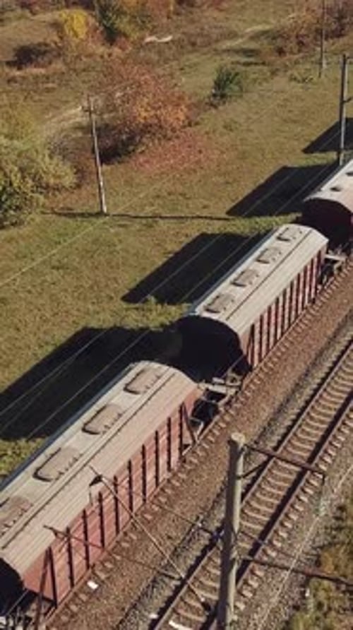 trem de carga com vagões está passando por trem perto de desembarques com árvores no fundo dos campos