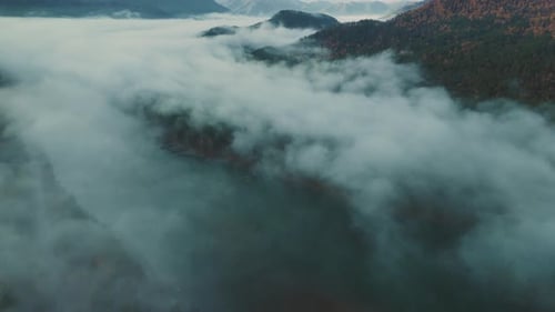 Aerial View of Misty Mountains and Forest Landscape