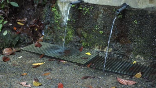 Water Flowing from Pipes into Grates in Nature
