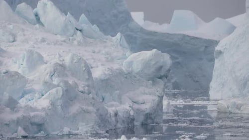 Bird Flying Over Sea By Iceberg