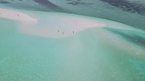 People Walking at the Tropical Beach
