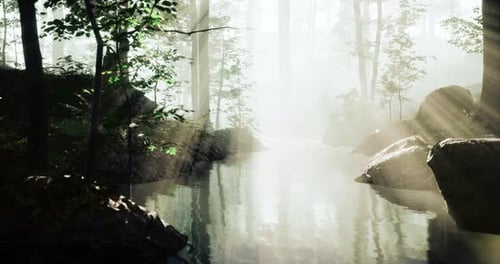 Tranquil Waterway Flowing Through a Misty Forest Setting