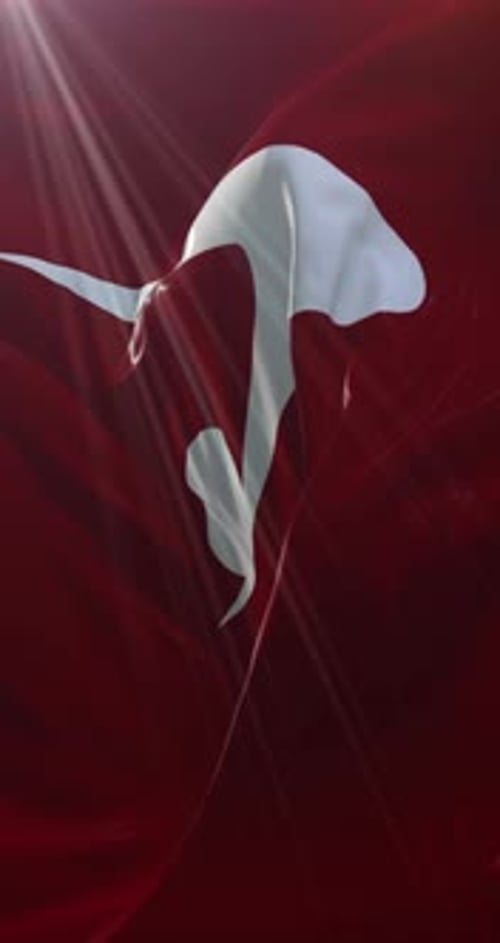 Vertical Waving Flag Animation with Light Rays
