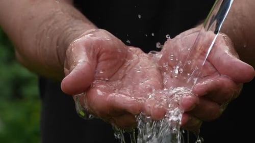 Fresh Water