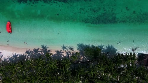 boats, turquoise sea, tropical palm tree beach. Amazing aerial view flight drone