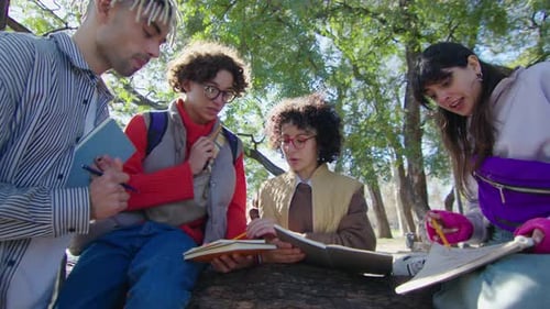 College Friends Doing Group Assignment on Tree in the Park