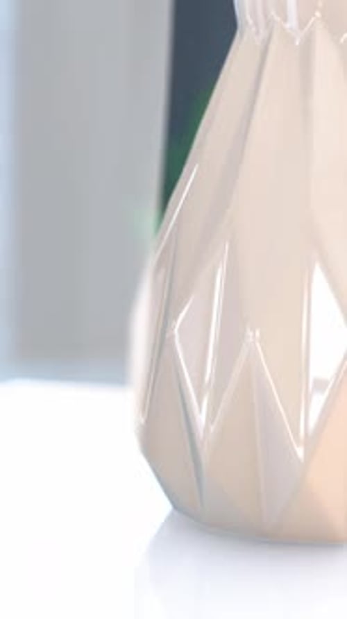 Geometric Light Reflections on a Faceted Vase