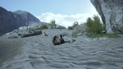 Desolate Desert Landscape with Animal Skull and Distant Mountains