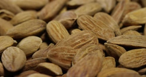 Close-up of light brown almonds. Concept: salted, nuts, seeds, tasty, healthy, fresh product, shru