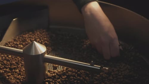Roasting Beans