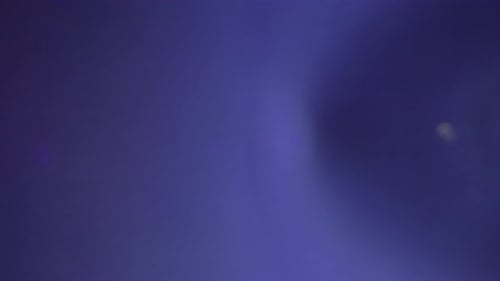 Lucent Warm Collection: Fading out lens flare effect with a violet hue shot using a 25mm Prime lens