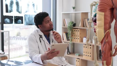 Doctor Examining Human Anatomy Model in Office