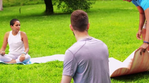 Diverse group of young people meeting for yoga class at summer park outdoors