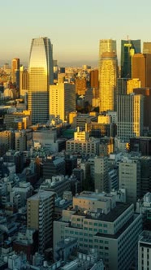 Time Lapse of the densely packed Tokyo Japan at sunrise. Vertical.