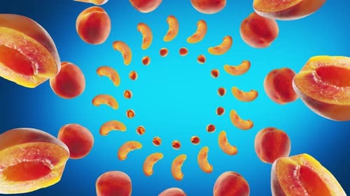 Dynamic Fluid Loop of Rotating Peaches and Slices