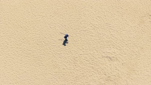 Male Person Metal Detector to Find Precious Objects on the Beach of Santa Monica