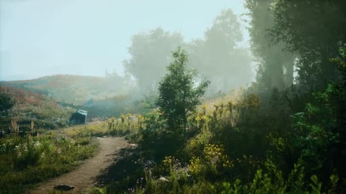A Tranquil Morning in a Misty Landscape with a Winding Path and Soft Sunlight