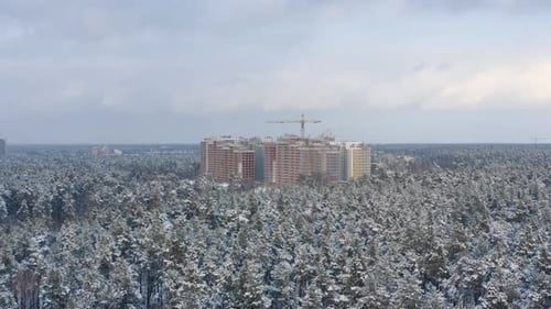 Aerial view of a frozen forest with snow covered trees at winter.