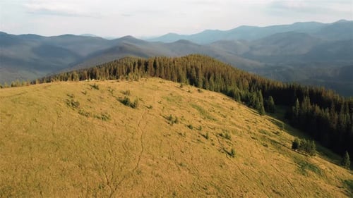 Ich fliege nach oben. Majestätische Karpaten. Wunderschöne Landschaft unberührter Natur